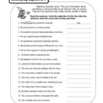 Kinds Of Adjectives Worksheets For Grade 7 With Answers Pdf