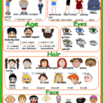 Learn IT English Adjectives For Appearance