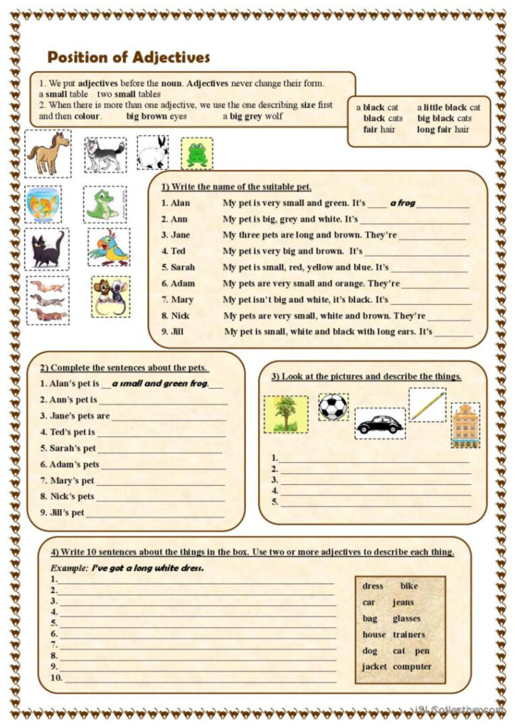 Position Of Adjectives General Gramm English ESL Worksheets Pdf Doc