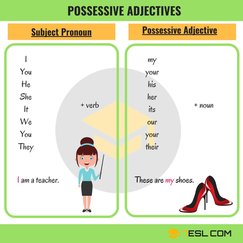 POSSESSIVE ADJECTIVES 7 E S L