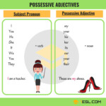 POSSESSIVE ADJECTIVES 7 E S L