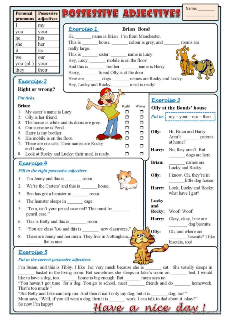 Possessive Adjectives English ESL Worksheets Pdf Doc
