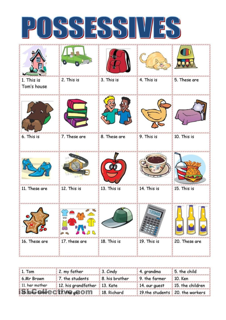 Possessive Adjectives Worksheet Pdf For Beginners Vegandivas NYC