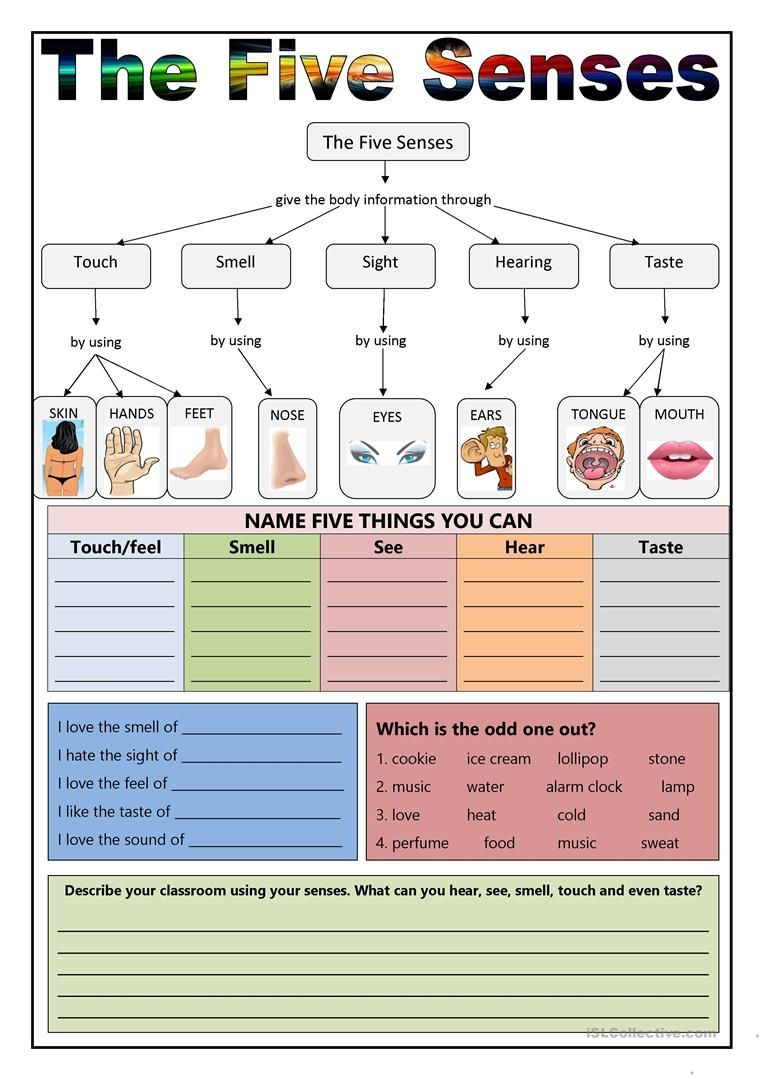 Sensory Adjectives Worksheet Free Download Gmbar co