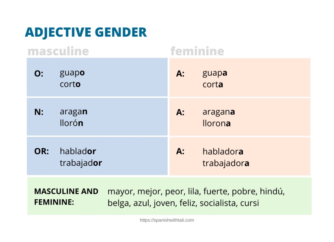 Spanish Adjective Agreement A Complete Guide Spanish With Tati
